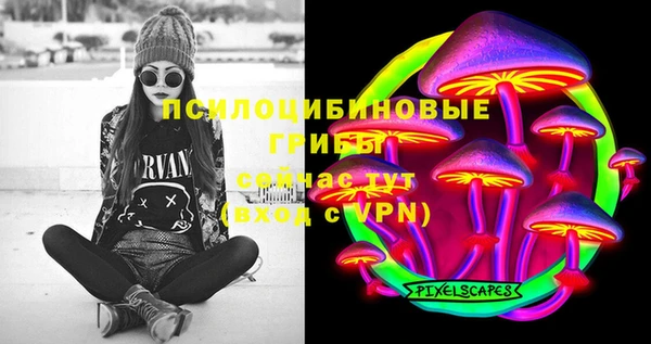 прущий лед Арсеньев