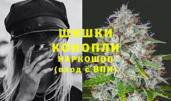 Альфа ПВП Аркадак