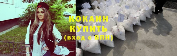 гашик Горняк