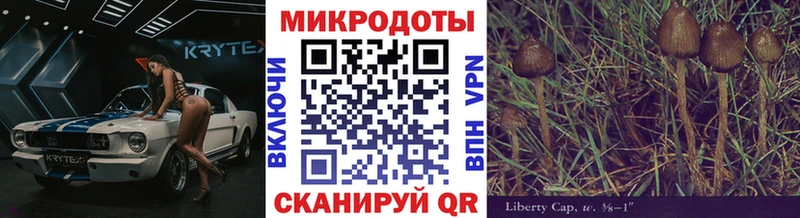 Галлюциногенные грибы прущие грибы  хочу наркоту  Любань 